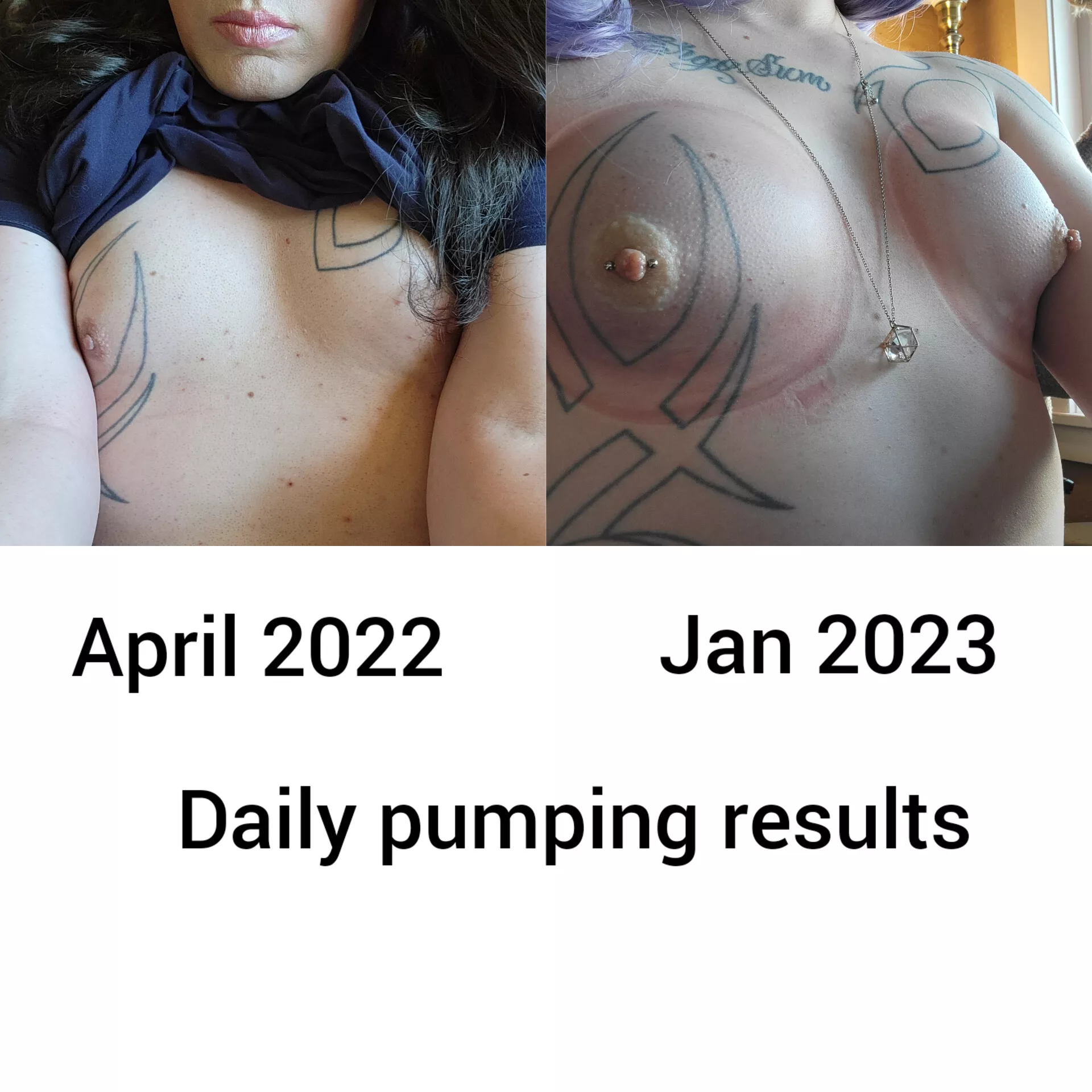 Daily Expansion Results Since April 2022