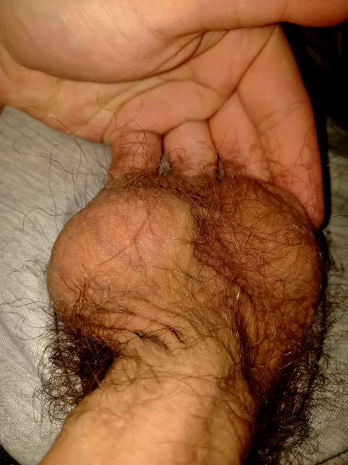 damn i love balls 🤪