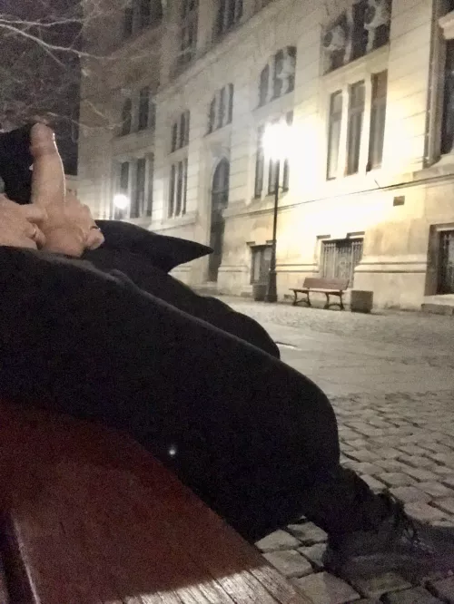 Dick and balls out on a bench in a street in the middle of the city under a streetlight early evening. Quite proud of this one.