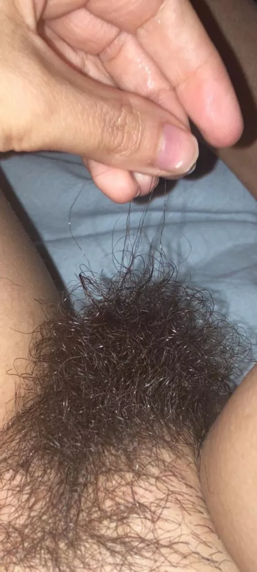 do you like my bush?