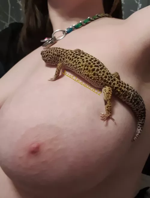 Do you like my friend?