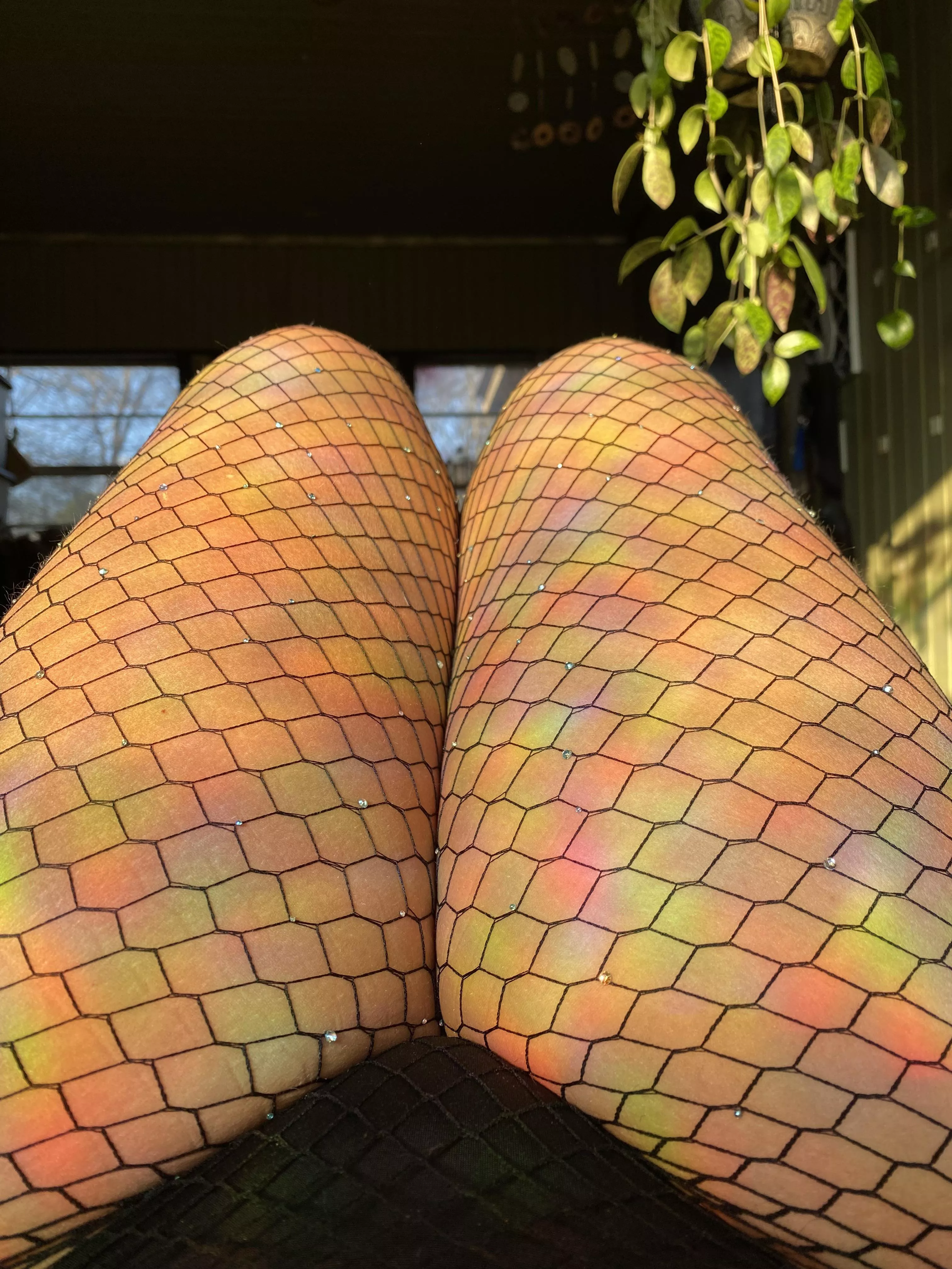 Do you like rainbow thighs too?