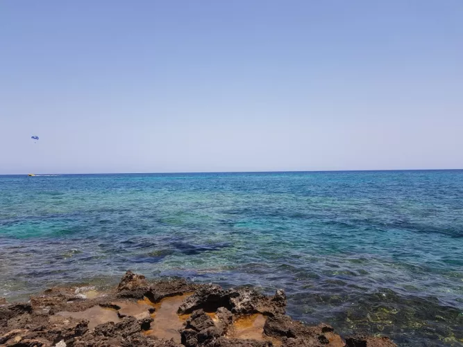 do you see rainbow here?