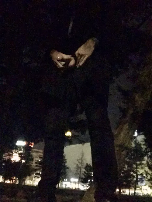 Evening stroll in a public park in the centre of an eastern-European capital city. Took me a while to get my cock out as there were lots of people about. Had to take partial cover in the bushes.