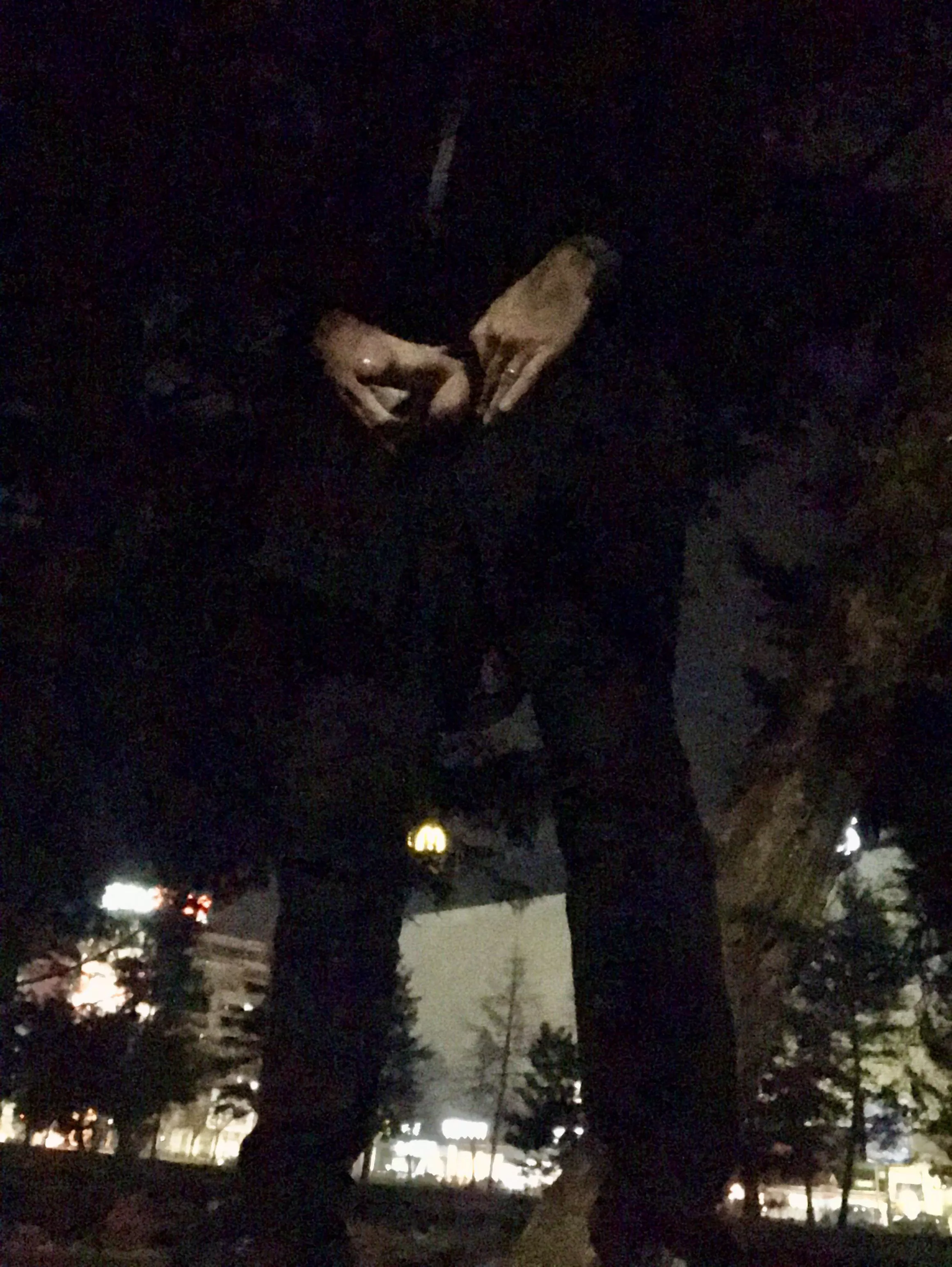 Evening stroll in a public park in the centre of an eastern-European capital city. Took me a while to get my cock out as there were lots of people about. Had to take partial cover in the bushes.