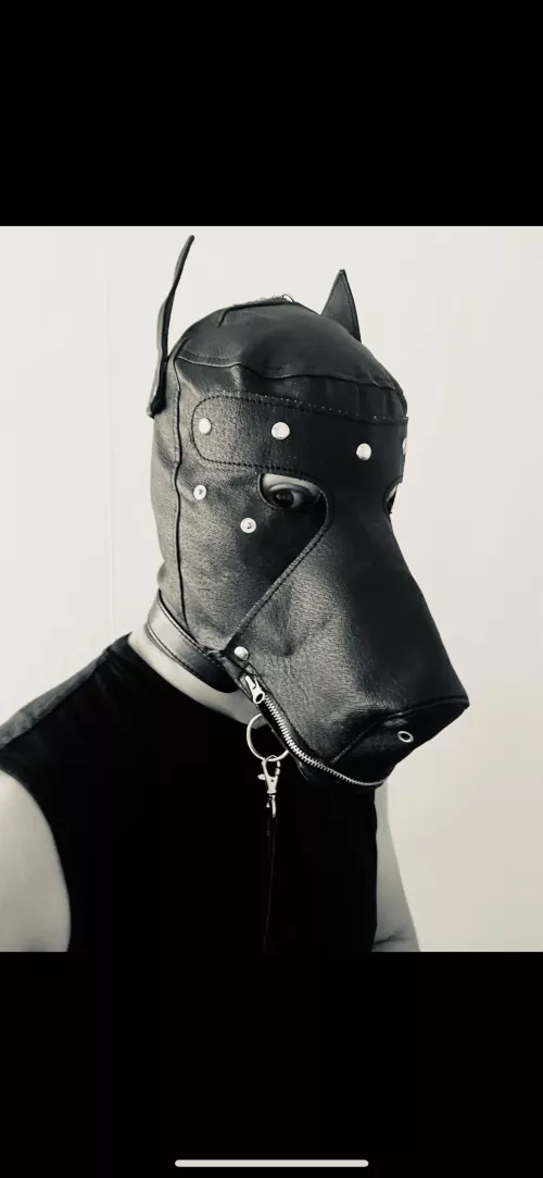 First post (vers sub pup). This is my current mask, are there any better models out that you could recommend? 🐶🦴🎾