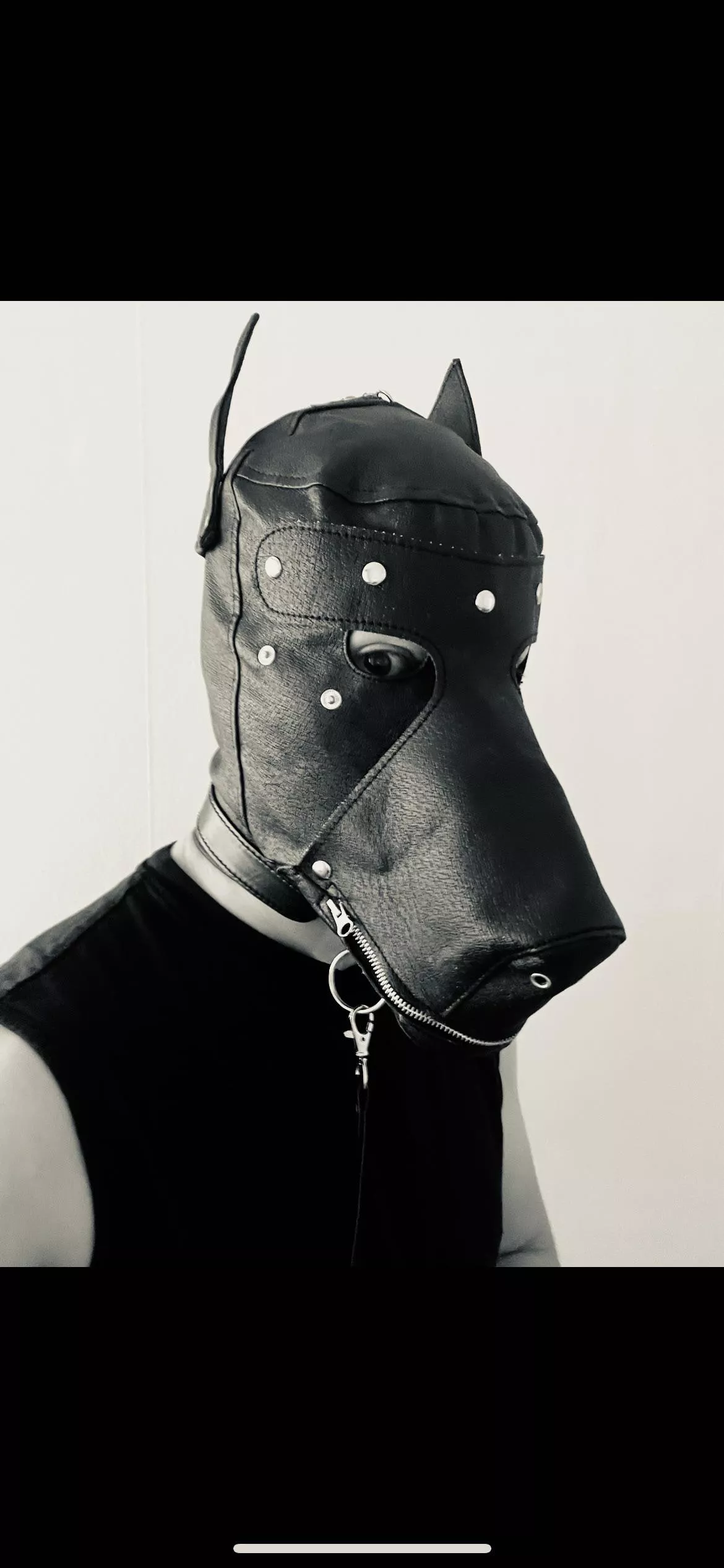 First post (vers sub pup). This is my current mask, are there any better models out that you could recommend? 🐶🦴🎾