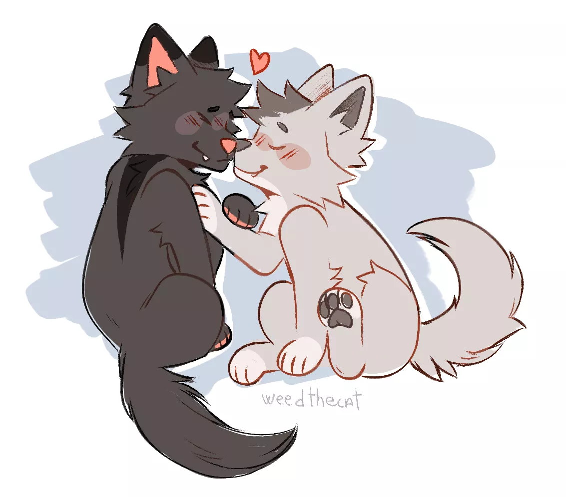 Gay dogs // doodle by me // @weedthecat on twt