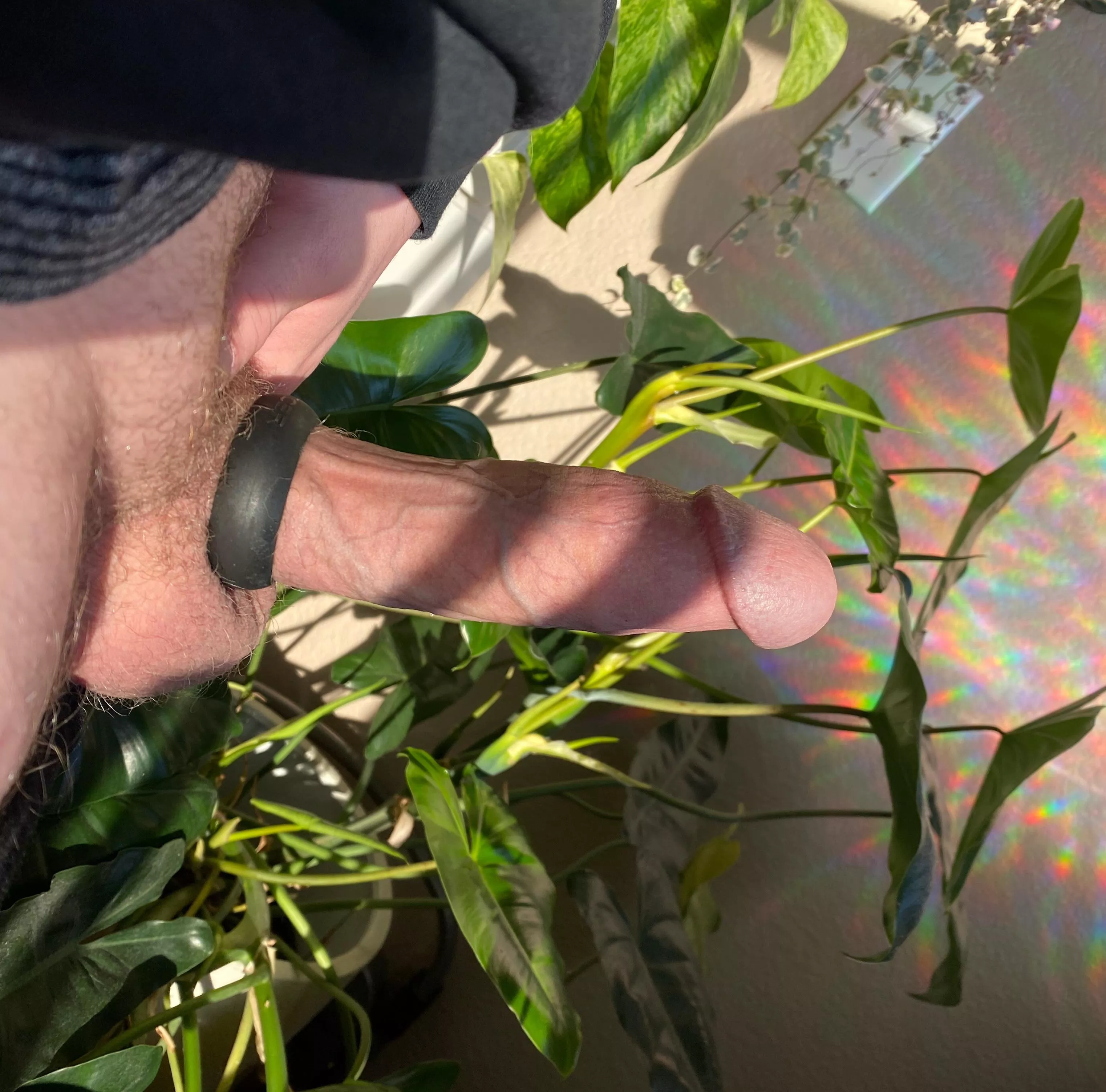 I need someone who can take every last inch.