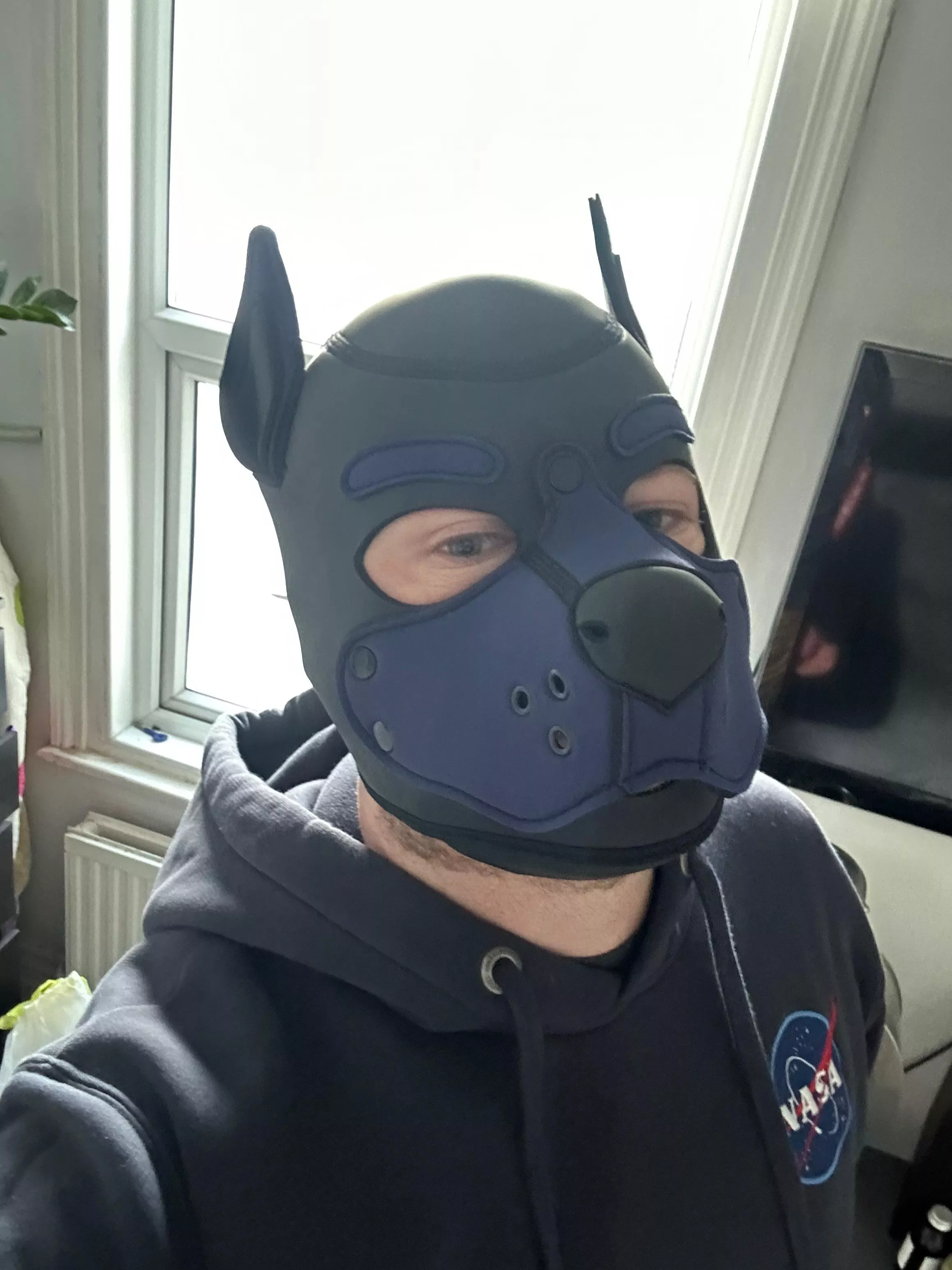 I smell pup bussy!