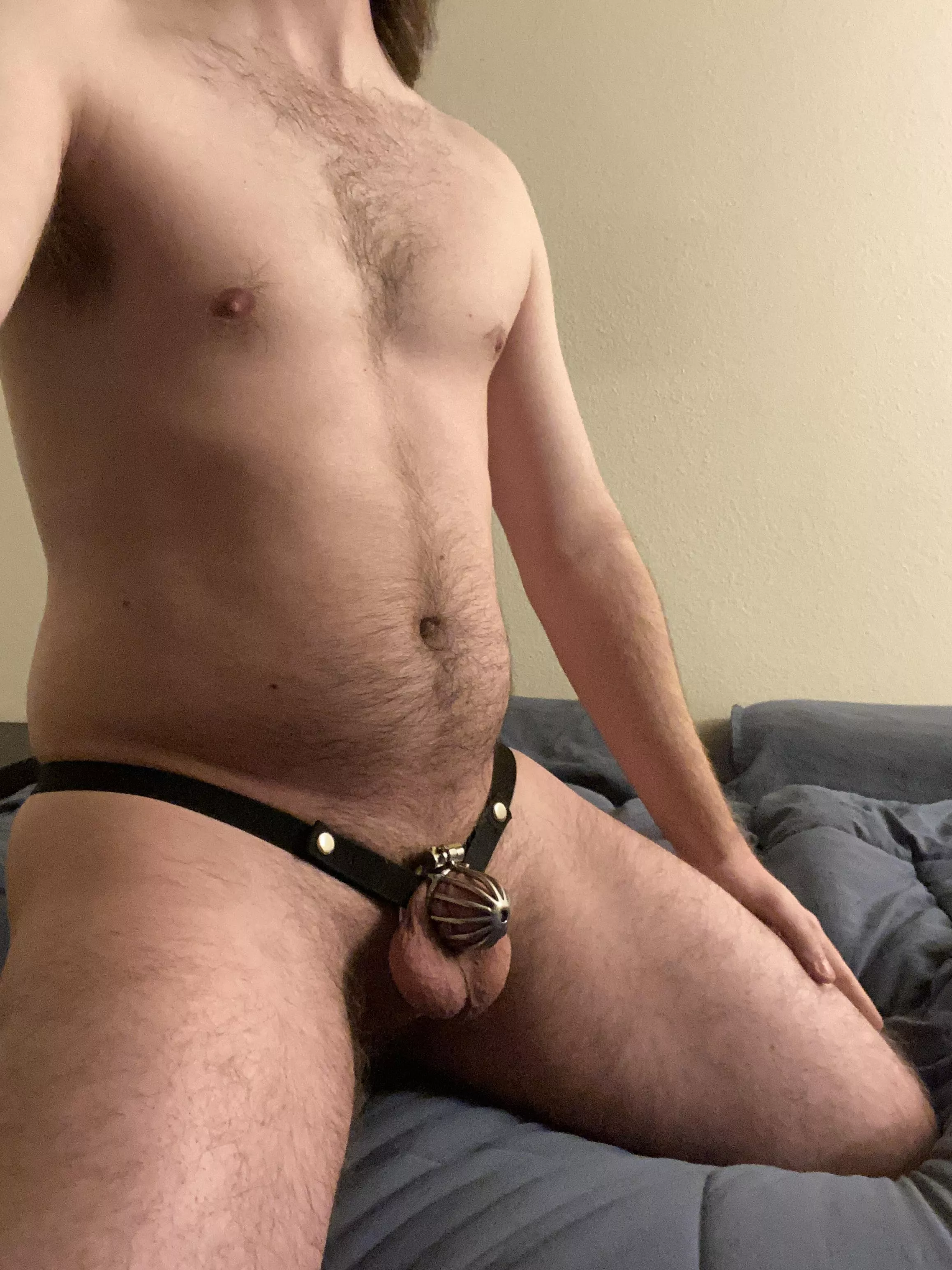 I think I have settled into my new cage well :)