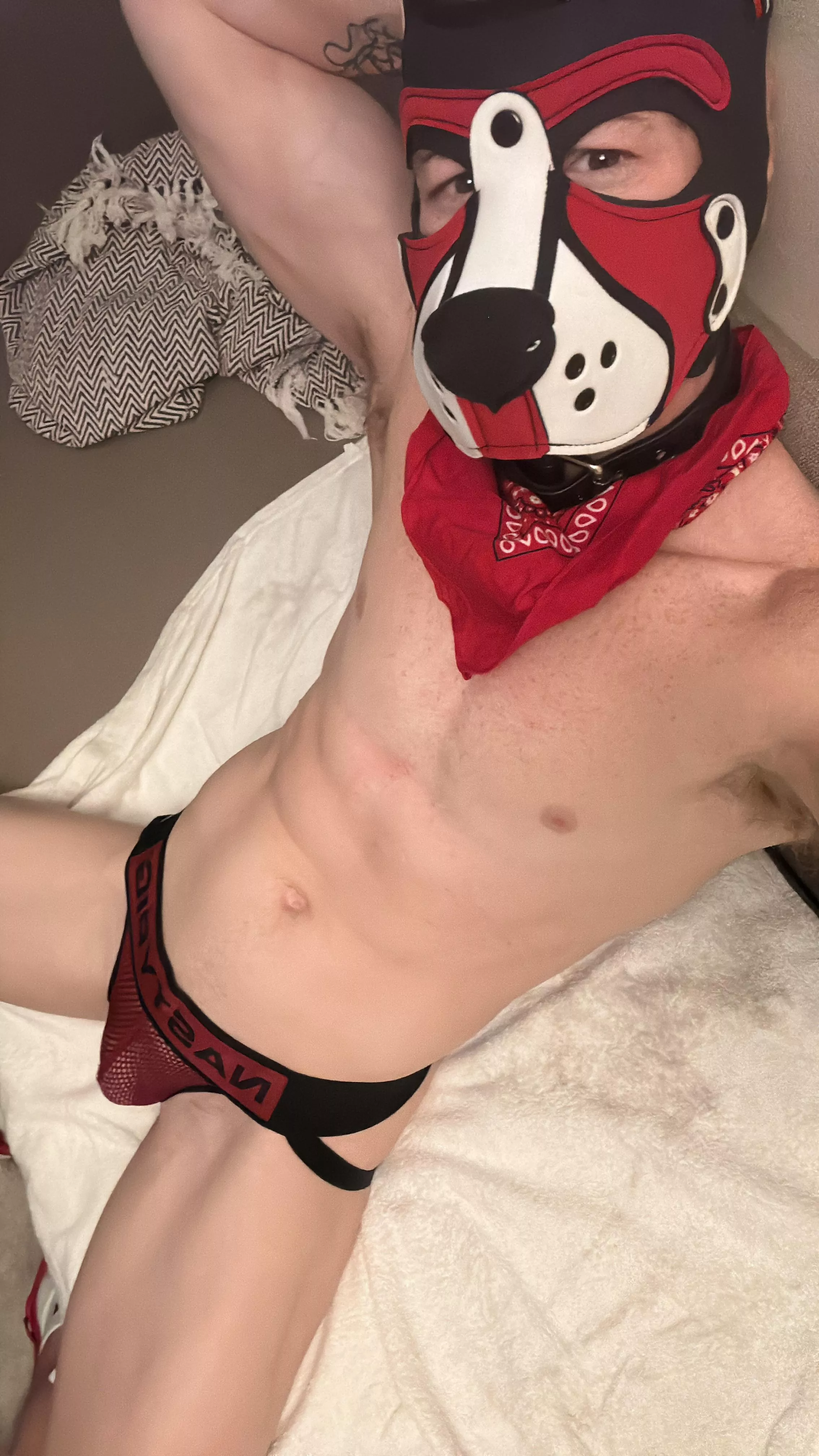 Is Kylo allowed on the couch?? I hope so 🐶