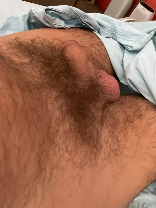 It’s a bit of a forest. What do you think?