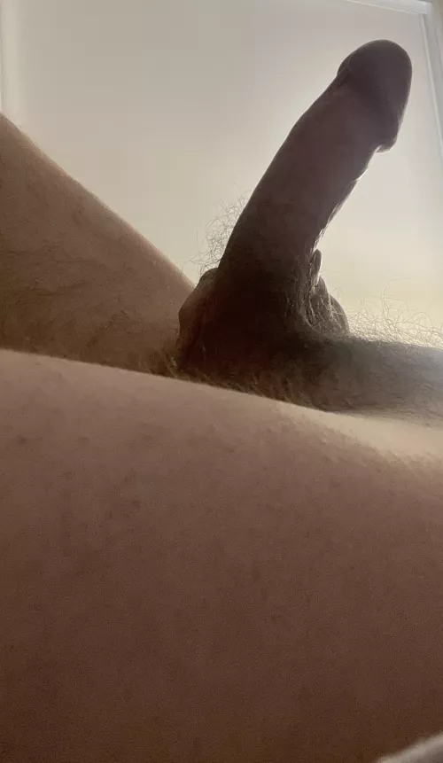 Just looking for some attention!