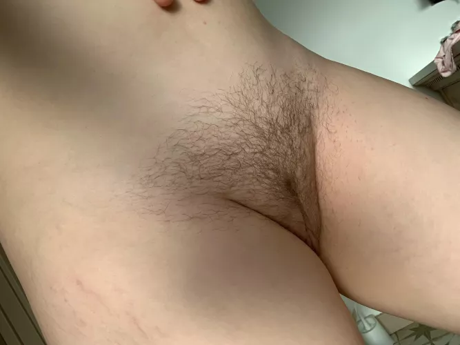 Just starting to bring her back- missed the fuzzy side of life