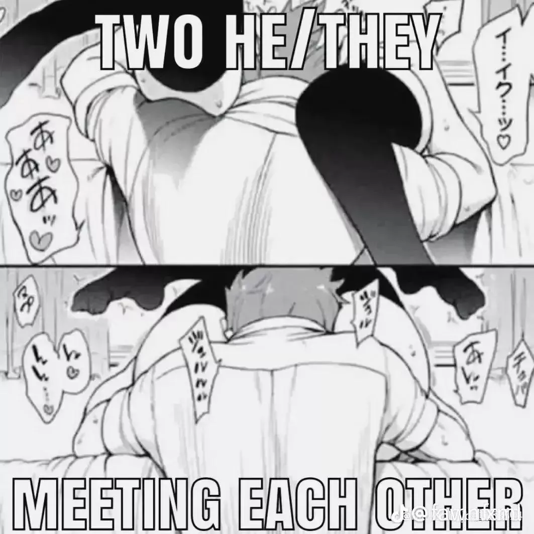 LF Mono Source: oral, thigh highs, bed, cunnilingus, sound effects, meme, 