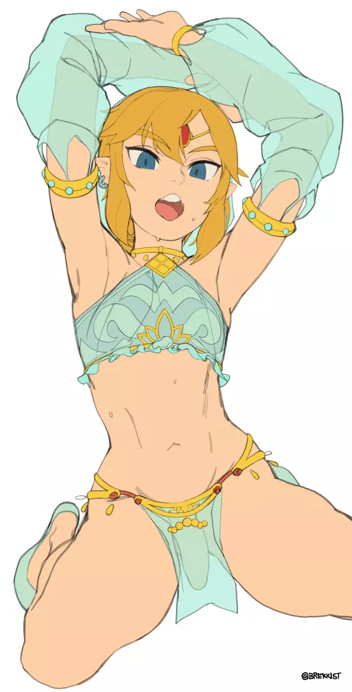 Link moving his body for you (Brekkist)
