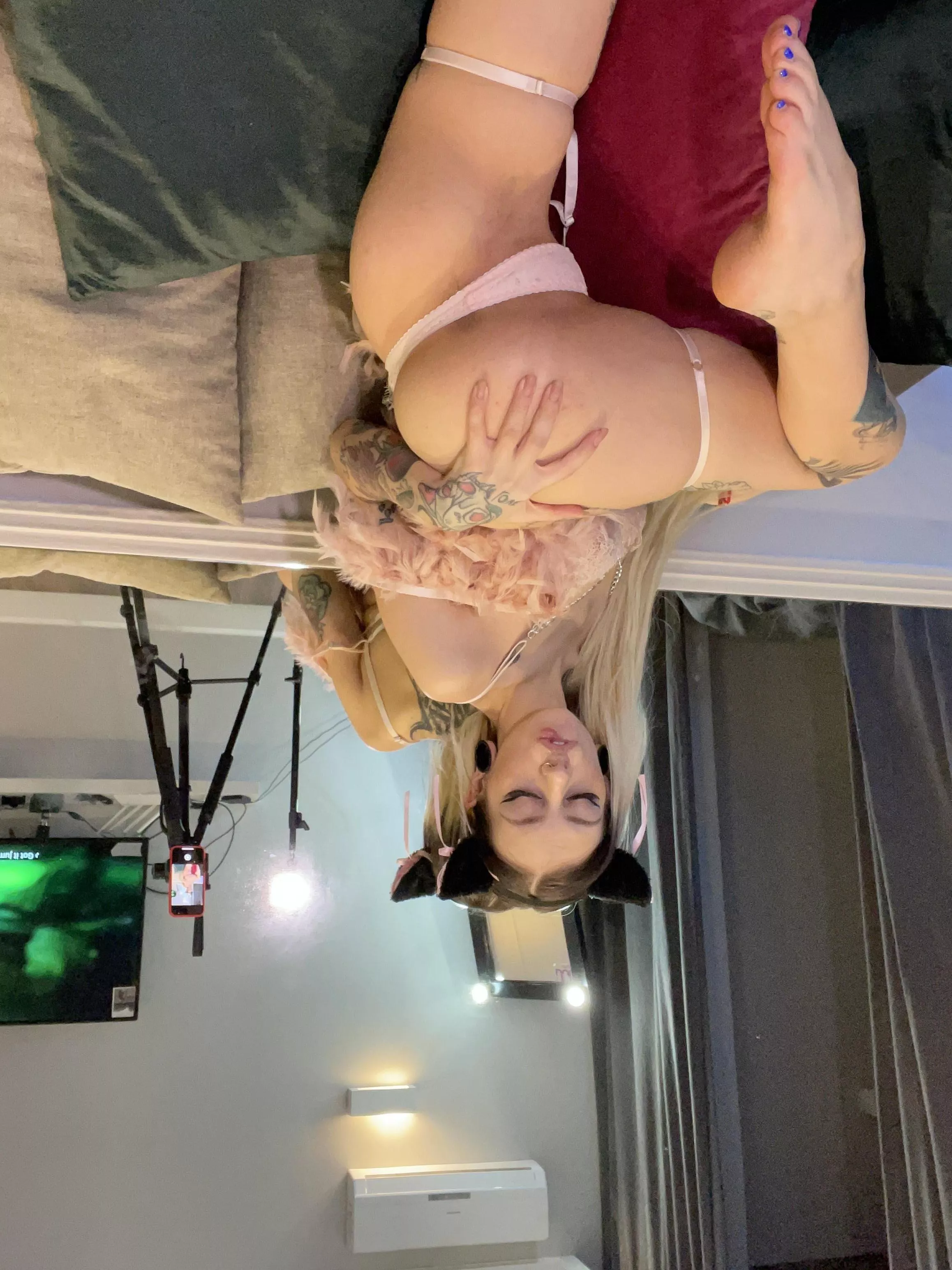 My Ass is free use all weekend long