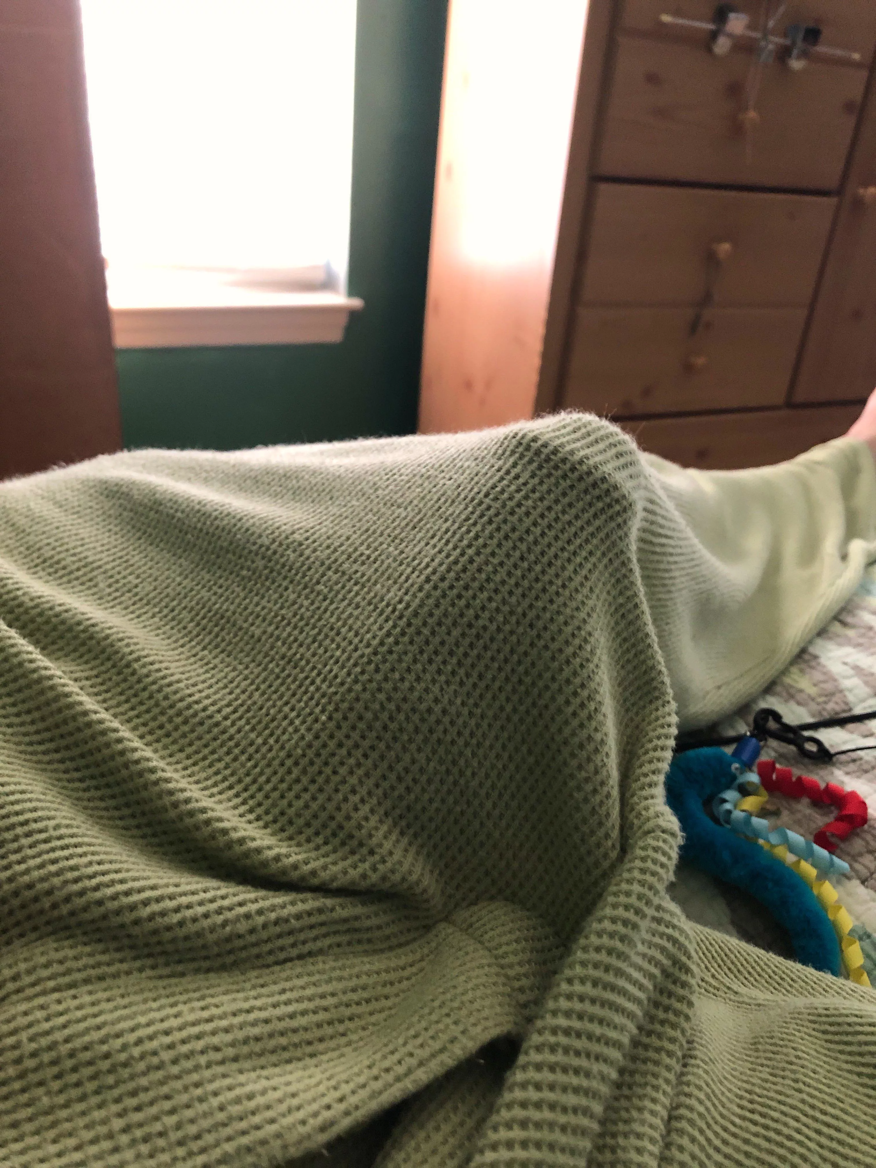 My pajama pants my chic got me from a place called Posh Peanut. They make children’s clothes, but have lounge wear for adults