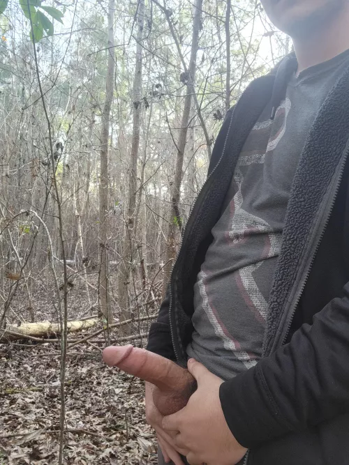 nature walk v3, dm if you want some , though in the woods is getting a bit repetitive, I'm open to suggestions 😏