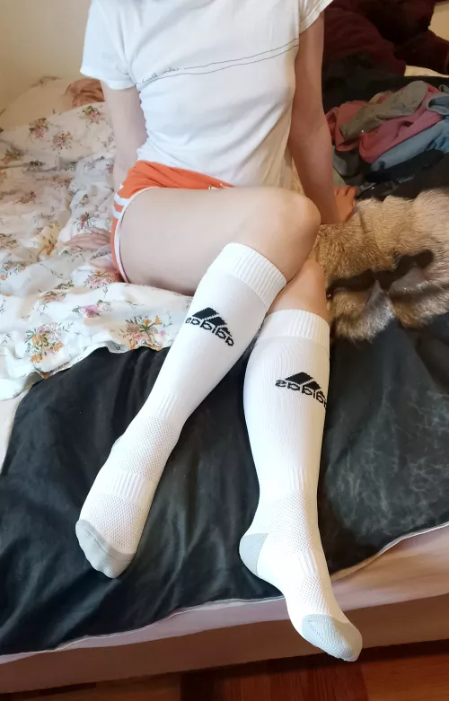 new socks! (o˘◡˘o) [f]