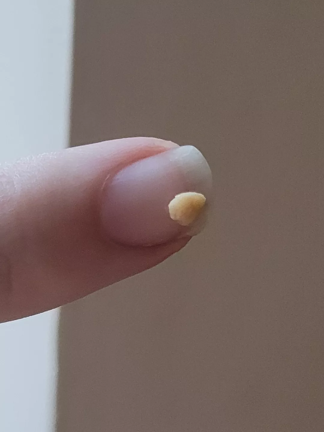 One of the biggest stones that's come out in a while