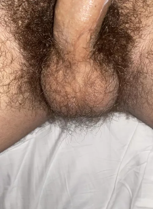 Suck my hairy Jewish teen balls