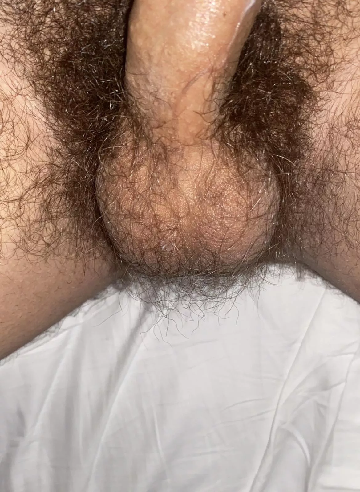 Suck my hairy Jewish teen balls