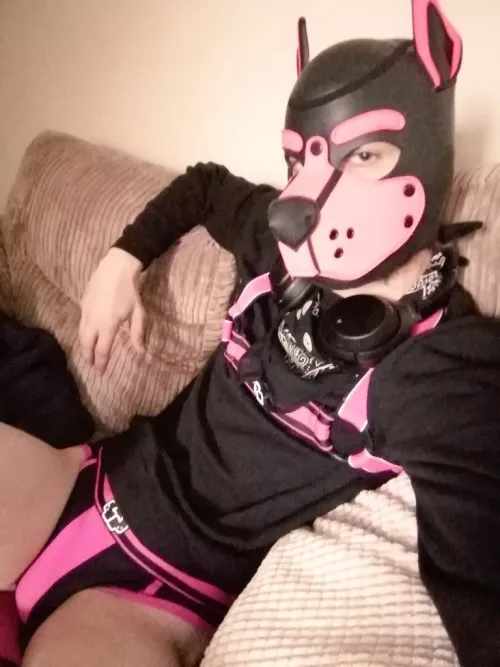 Take a seat 🐾💖