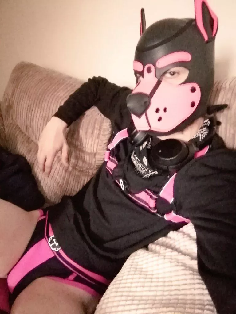 Take a seat 🐾💖