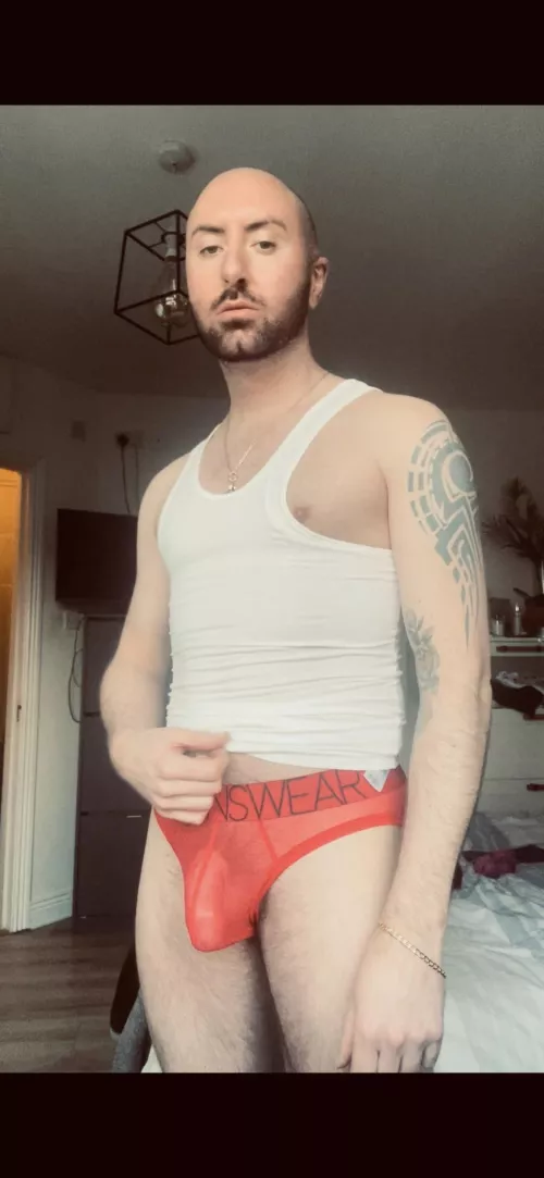 This cub wants to play