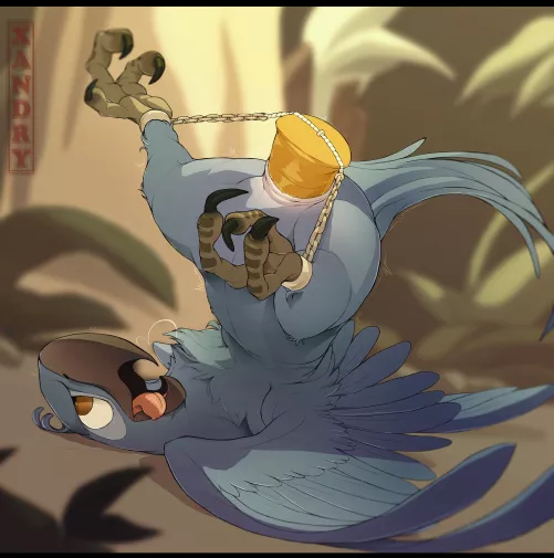 Trapped bird (xandry)