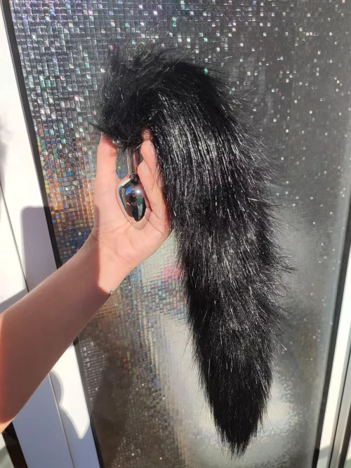 update: it's all clean and fluffy again (no neighbor saw it, at least that I know of). Ps. if anyone wants to share your favorite sites to buy this kinda stuff (plug tails, collars, ears, etc)