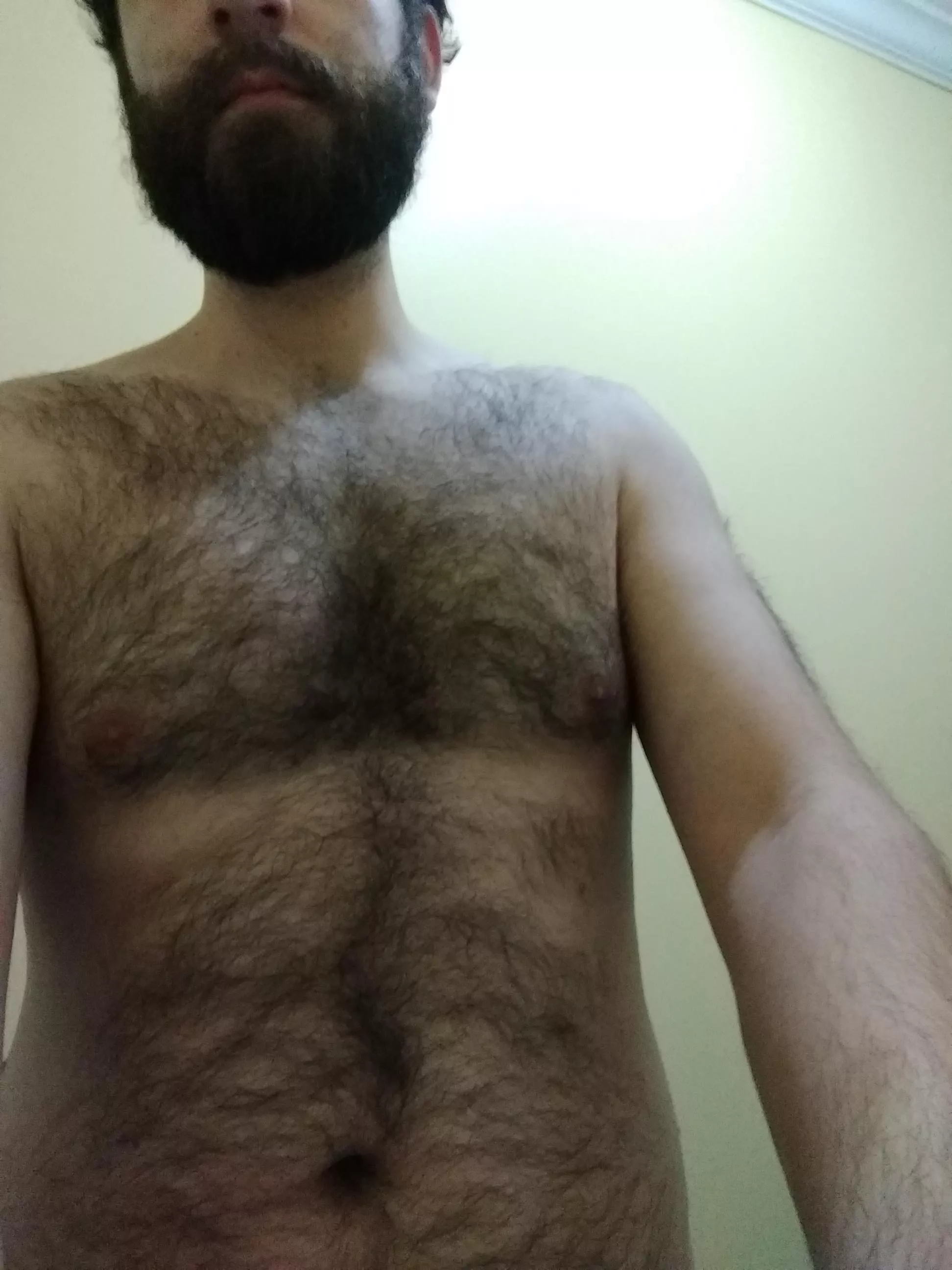 why do you like hairy men?