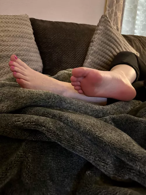 Would you worship my soles after the gym?