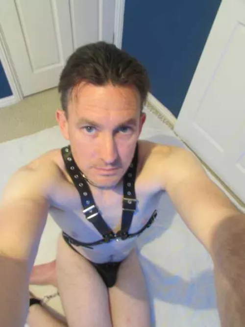 Your view as I beg to serve