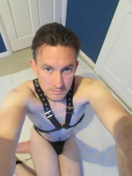 Your view as I beg to serve