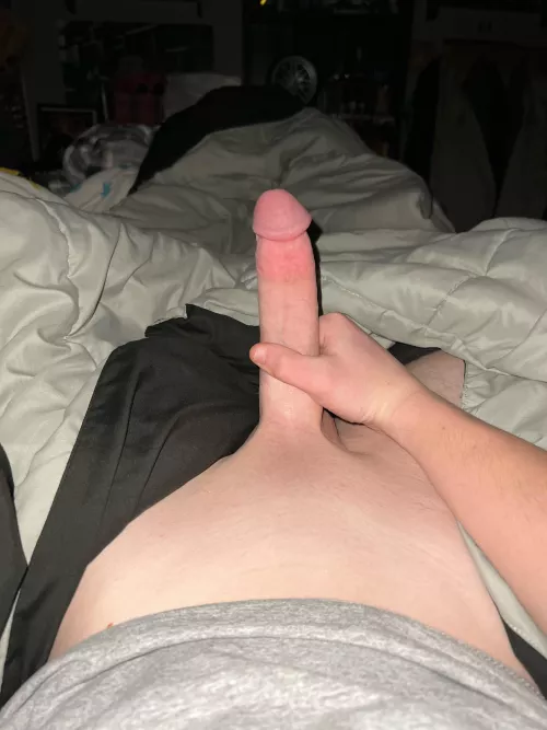 18, Horny asf into guys who show ass and have toys, stroke buds welcome too. @scottie-3656