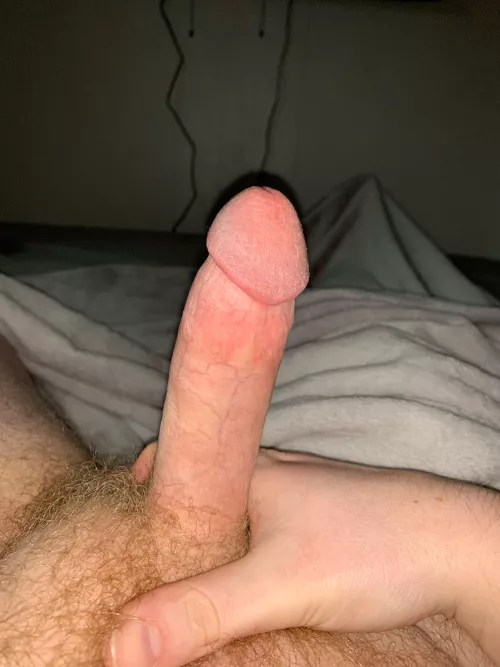 25 super horny with morning wood. Open to anyone. Let’s jerk add cfowler5051 for some fun.