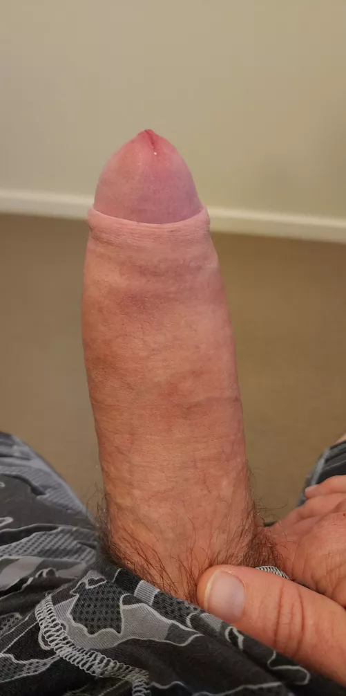 35L Aussie Toned Fit and Hung, hmu @aussietop2022