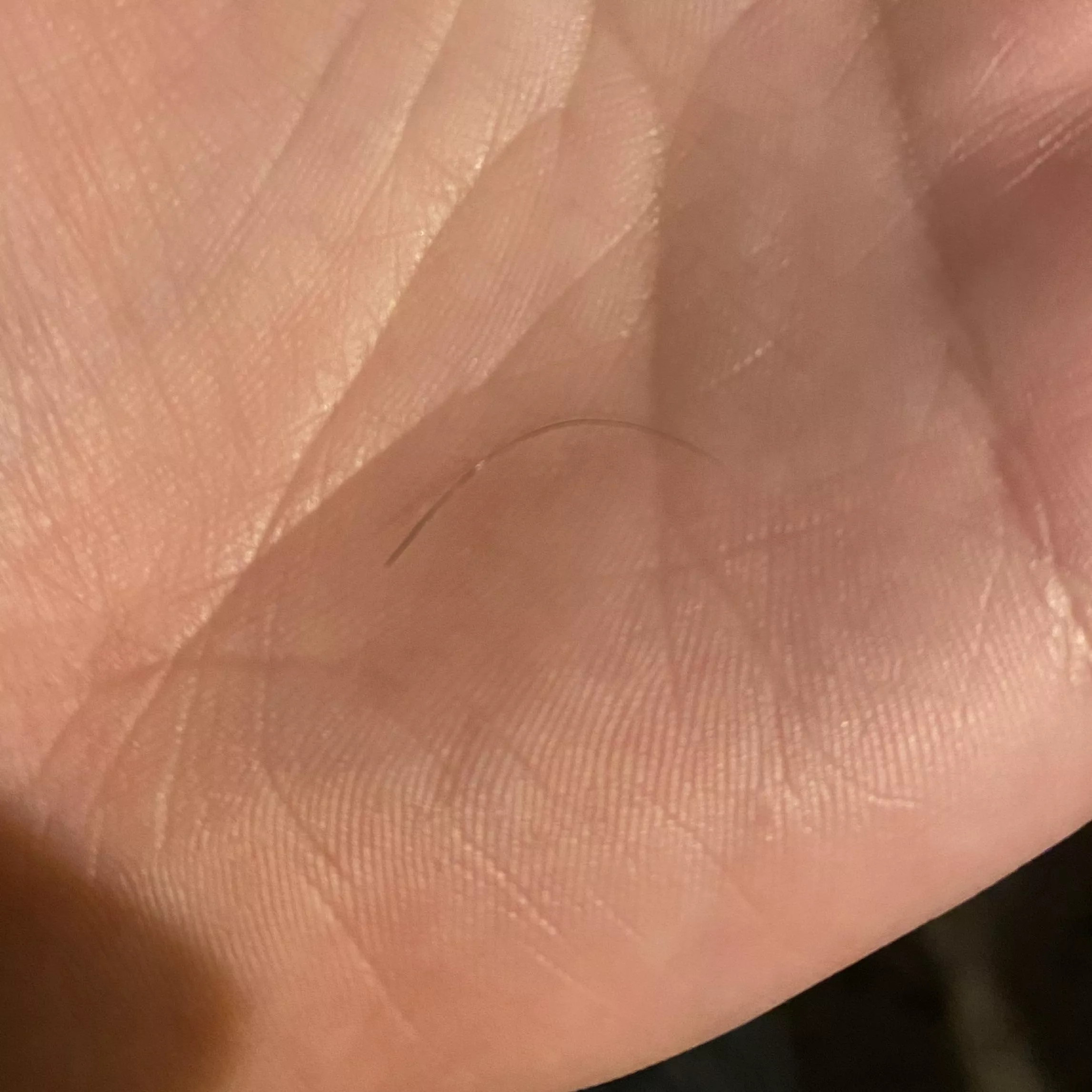 About a month ago, I had a pop on my bewb that I posted. It would scab over and then fill with pus again. The scab came off in the shower and I thought I saw something inside and I pulled out this hair! 😱 it’s about an inch long! About a month ago, I had a pop on my bewb that I posted. It would scab over and then fill with pus again. The scab came off in the shower and I thought I saw something inside and I pulled out this hair! 😱 it’s about an inch long!