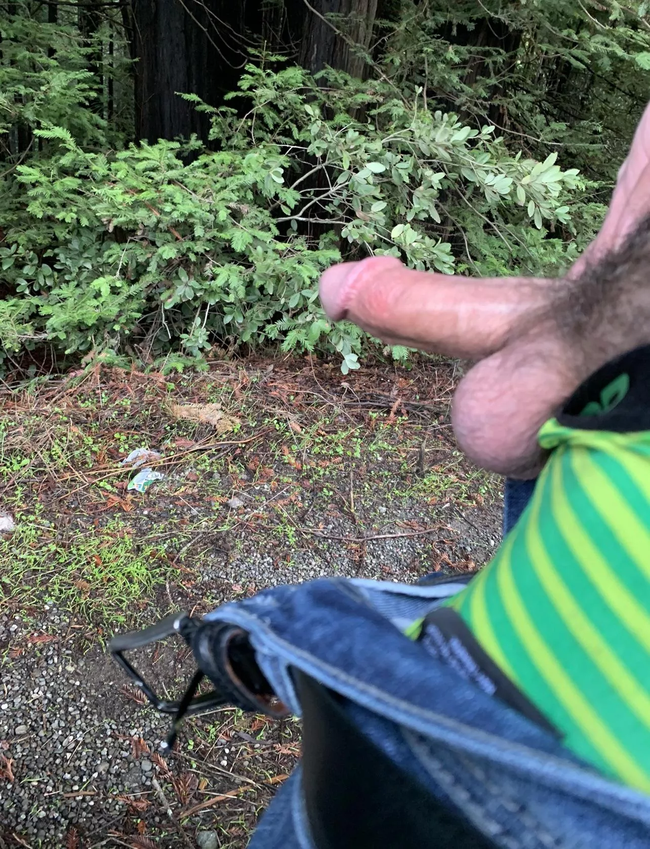 Balls out cock out. Side of the road in the forest