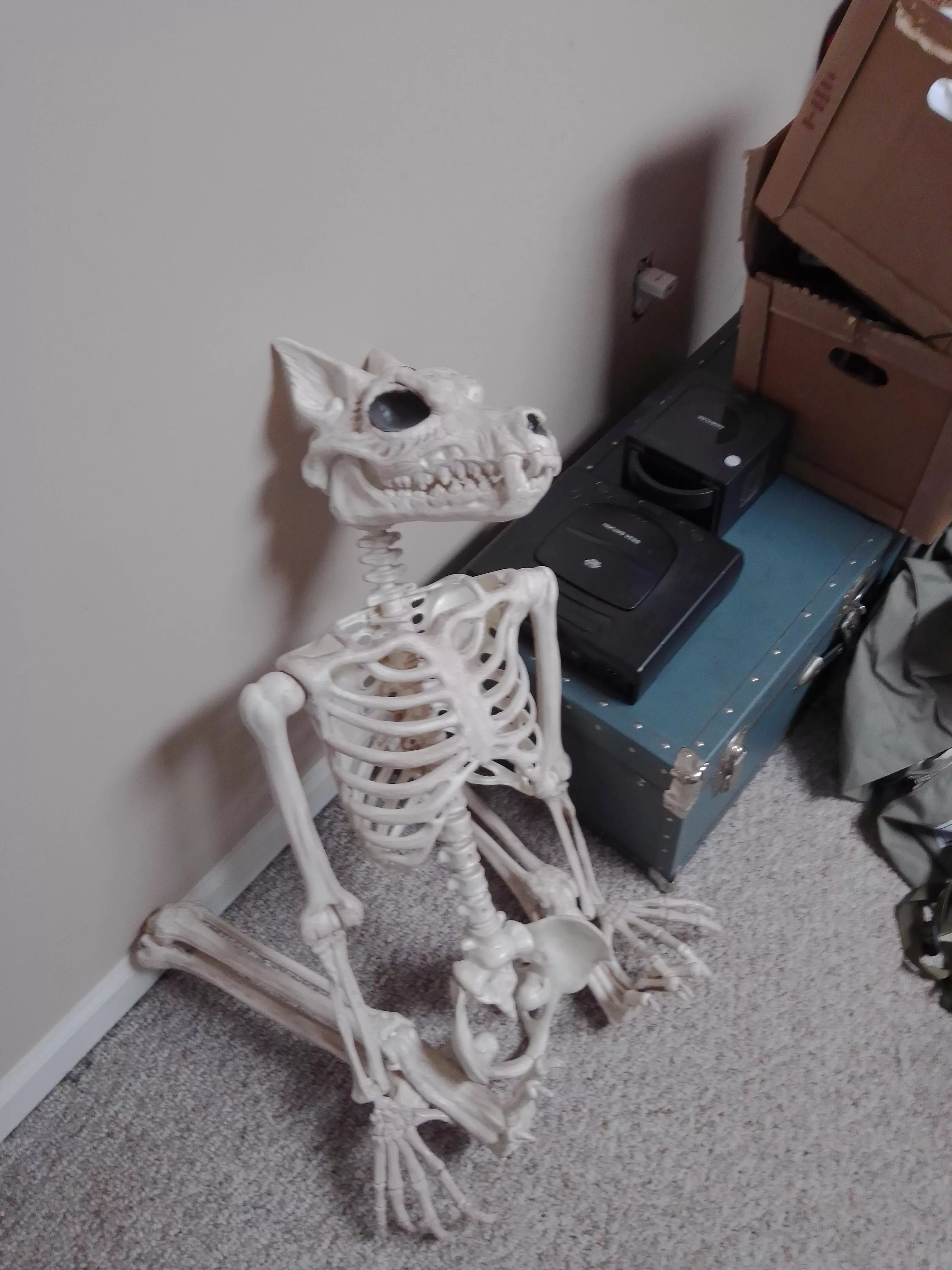 Closet flooded and found someone's sona please come and collect.