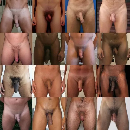 Comparison of flaccid cocks, collage