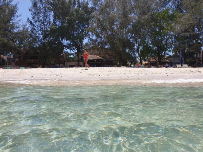 Gorgeous view looking in