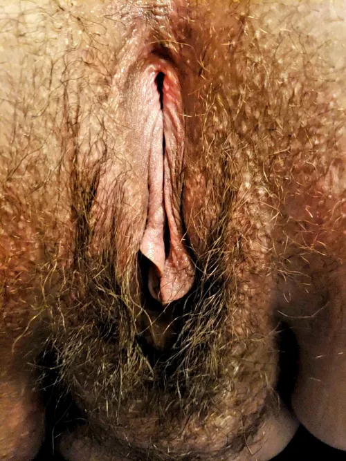 guys used to tell me, a hairy pussy is gross 😔😔. I have how it feels, im sure you would too.