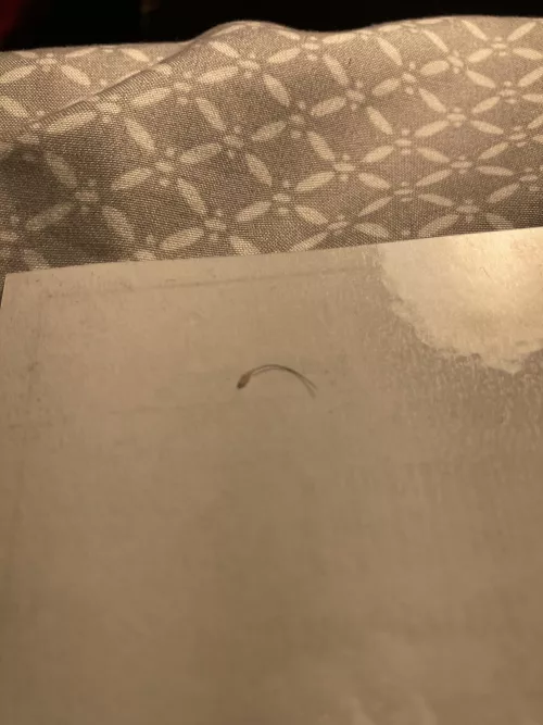 I got did of some buildup in a hair follicle, it came out with ease