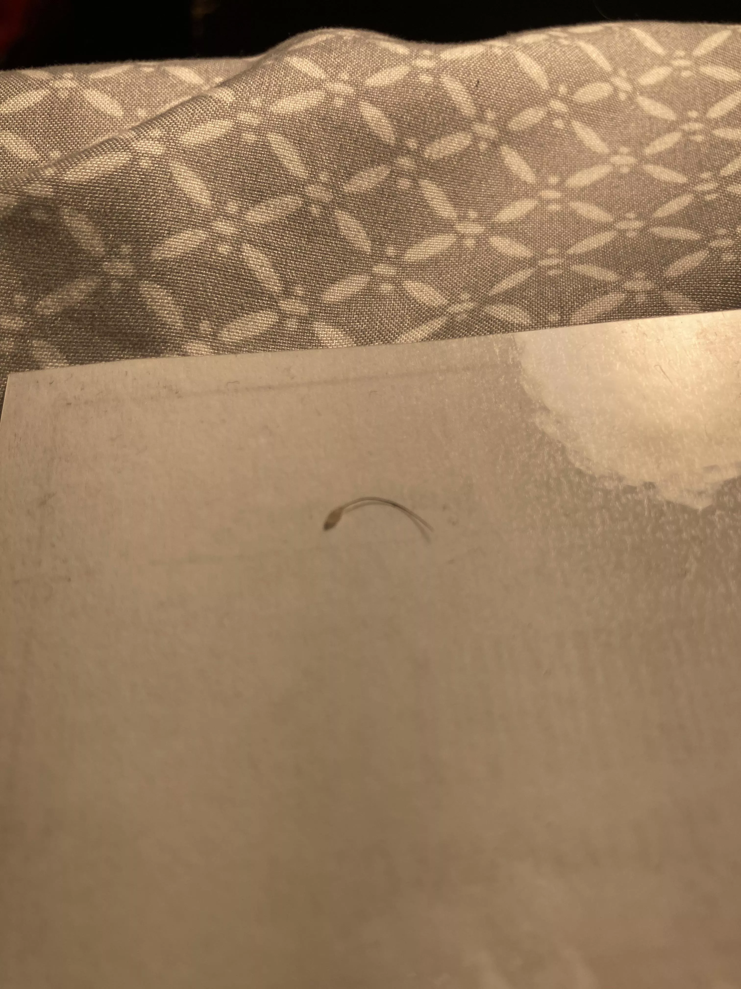 I got did of some buildup in a hair follicle, it came out with ease