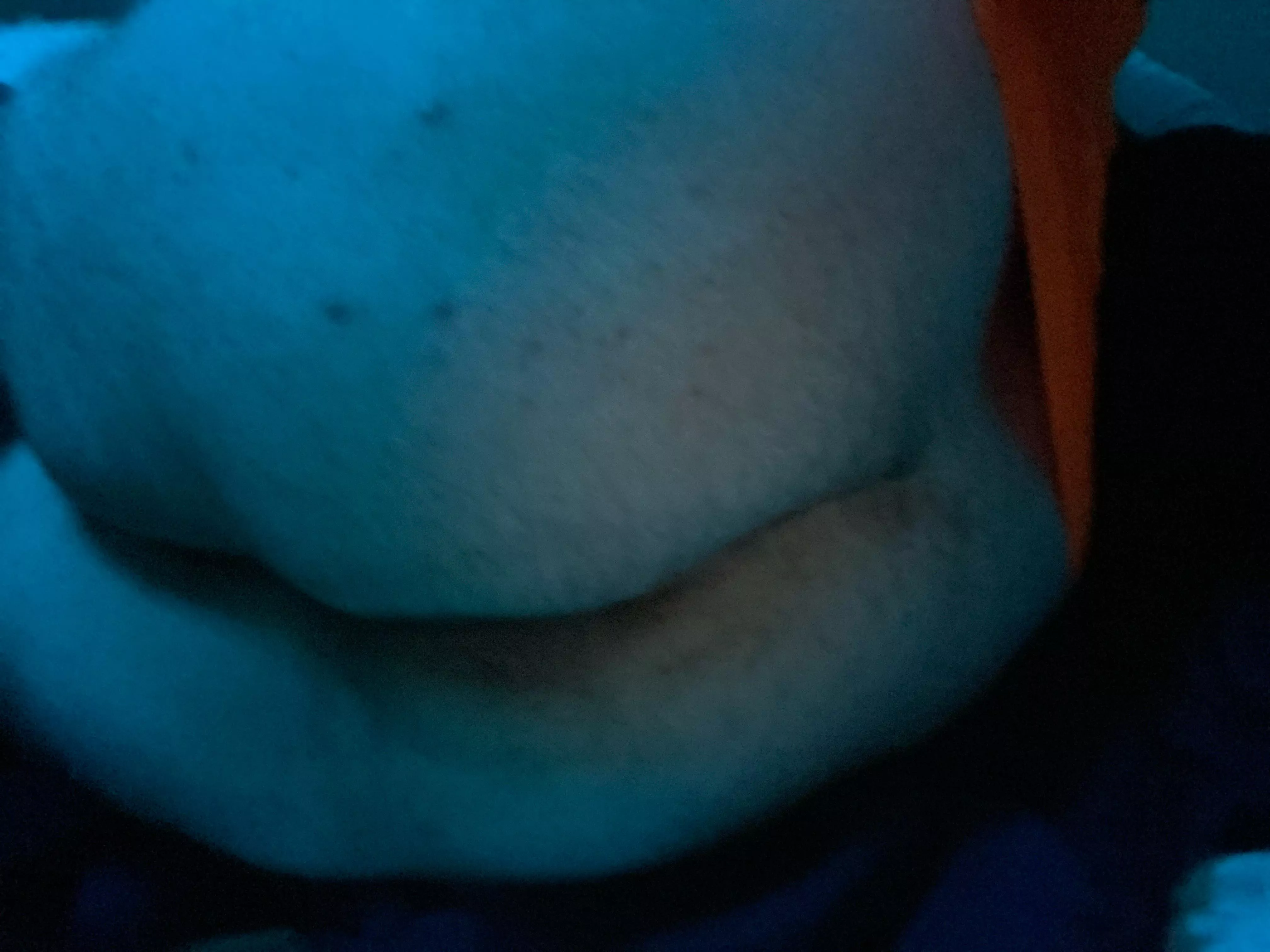 I need someone to worship my ass