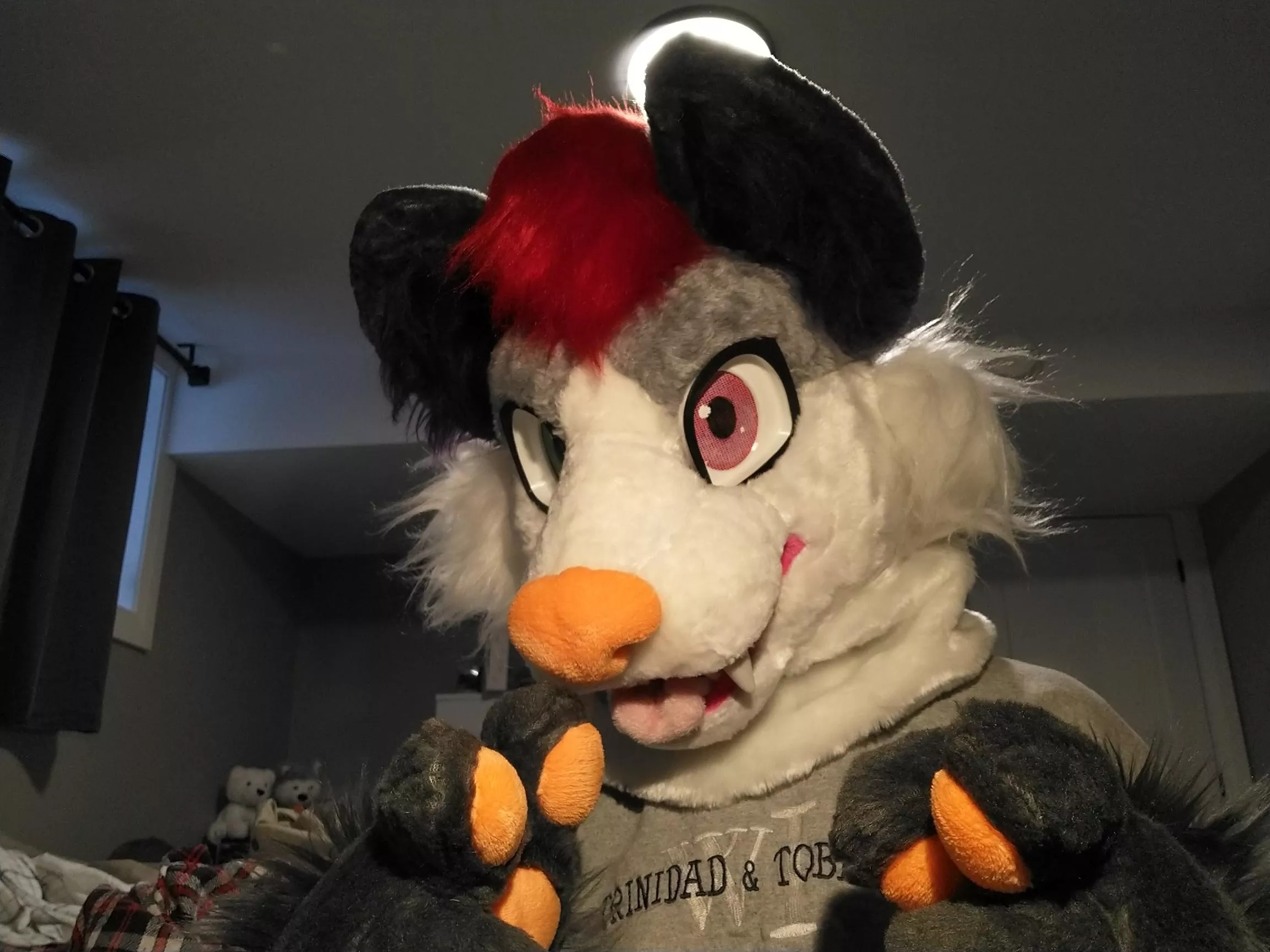 it's my birthday and it's a fursuit Friday!